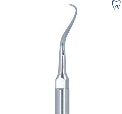 Końcówka do skalera PERIO P2R