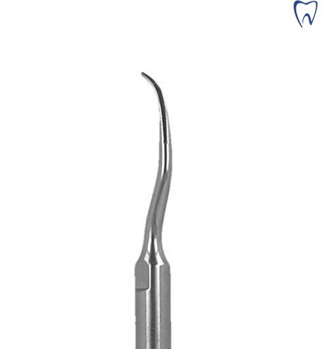 Końcówka do skalera SCALING G10