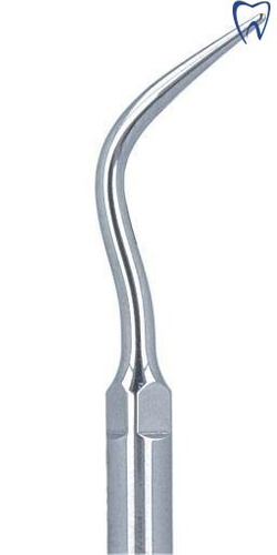 Końcówka do skalera PERIO P4D diamentowa